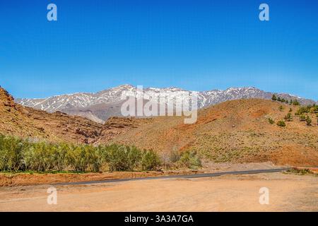 Schneebedecktes Atlasgebirge und Kiefernwald zwischen Marrakesch und Ouarzazate Stockfoto