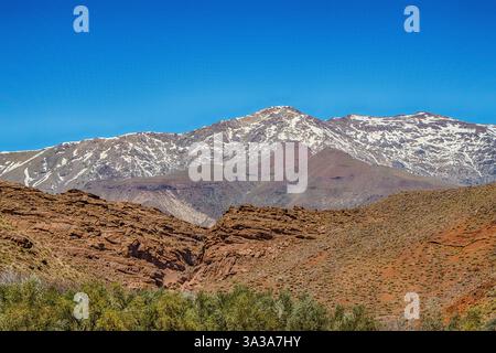 Schneebedecktes Atlasgebirge und Kiefernwald zwischen Marrakesch und Ouarzazate Stockfoto