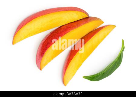 Mangoblätter isoliert auf weißem Hintergrund mit voller Schärfentiefe. Draufsicht. Flache Lagen Stockfoto