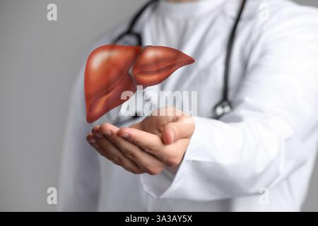 Doktor mit Illustration der Leber auf grauem Hintergrund, Nahaufnahme Stockfoto