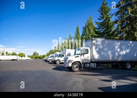 Weiße mittelschwere Kompaktfahrzeuge mit Tagfahrerhaus und Sattelaufliegern in Industriequalität, die auf dem Industrieparkplatz des Lagers bei sonniger Sonne in Reihe stehen Stockfoto