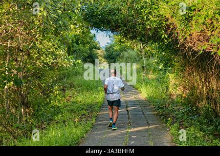 Ein Mann läuft am frühen Morgen auf dem Campuhan Ridge Walk Trail. Ubud, Bali, Indonesien. Stockfoto