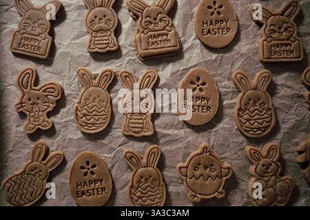 Osterteig und Keksschneider in Hasen und Eiern teilen sich. Kinder kochen aus nächster Nähe auf dunklem Hintergrund Stockfoto
