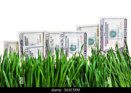 Amerikanische Währung auf dem frischen Gras. Konzept für steigende Dollars Stockfoto