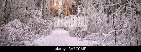 DE - BAYERN: Winterlicher Waldweg durch die Pfannenholzwälder bei Bad Toelz, Oberbayern (Panoramaaufnahme von Edmund Nagele FRPS) Stockfoto