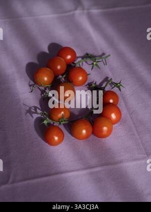 Kirschtomaten auf violetter Tischdecke, vertikaler Blick von oben nach unten bei Sonnenlicht Stockfoto