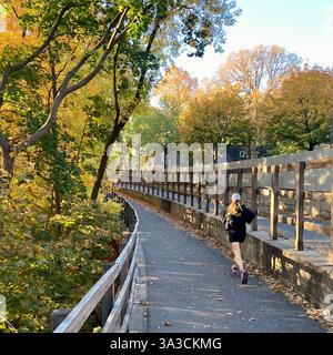 Herbstfarben sind in Minneapolis, MN, USA, in vollem Umfang zu sehen. Stockfoto