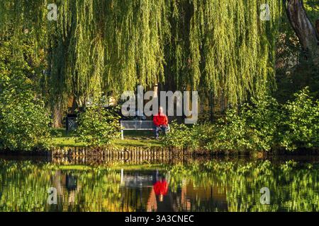 Frau in roter Jacke sitzt auf einer Bank unter einer Babylonweide (Salix babylonica) mit Reflexion in einem Schwanenteich, Treuenbrietzen, Flaeming, Brandenburg Stockfoto