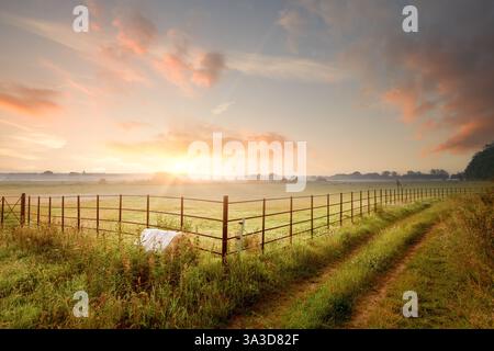 Fantastischer Sonnenaufgang mit rosafarbenen Wolken über Farmwegen und Metallzaun. Norfolk England Landansicht der Felder Stockfoto