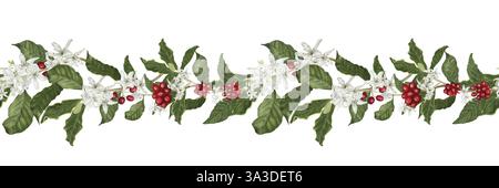 Kaffeebaumzweige und rote Beeren. Digitale Aquarellabbildung. Kaffeebaumblüten und Lilien isoliert auf weißem Hintergrund. Horizontale Segel Stockfoto