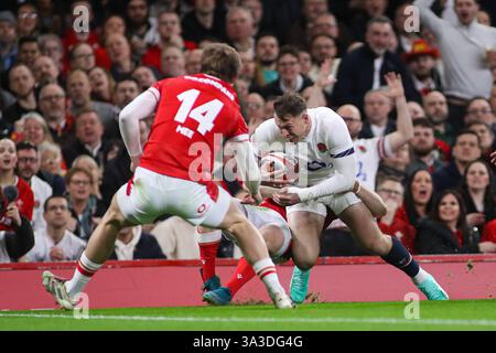 Cardiff, Großbritannien. März 2025. Tom Roebuck aus England fährt während des Guinness 6 Nations Matches Wales gegen England 2025 im Principality Stadium, Cardiff, Vereinigtes Königreich, 15. März 2025 (Foto: Andrew Lewis/News Images) in Cardiff, Vereinigtes Königreich am 15. März 2025. (Foto: Andrew Lewis/News Images/SIPA USA) Credit: SIPA USA/Alamy Live News Stockfoto
