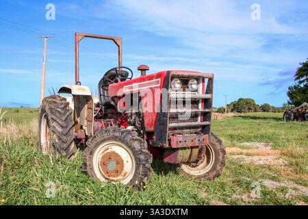 Roter landwirtschaftlicher Traktor draußen auf dem Bauernhof in einem ländlichen Gebiet. Stockfoto