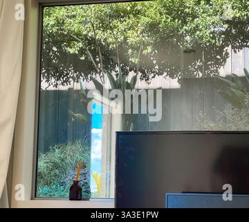 Bäume und Pflanzen, die im Sommer im Garten eines Hauses in einem Vorort von Auckland, Neuseeland, rauschen. Stockfoto