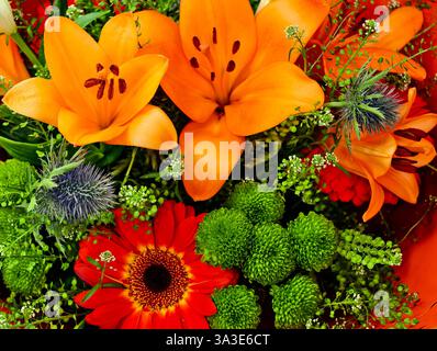 Lebendige Orange Lilien Rot Gerbera Grün Chrysantheme Bouquet Heller Sommer Gartenblumen Frische Blumenarrangements Natürliche Schönheit Gemischte Blume Komposition Professionelle Fotografie Stockfoto