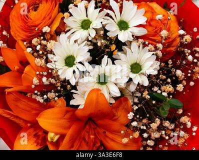 Orange Lilien Weiße Daisies Baby's Atem Gemischter Blumenstrauß helle Sommerblumen Frische Blumenarrangements Hochzeit Feier natürliche Schönheit professionelle Fotografie Bunte Blüten romantische Komposition Stockfoto