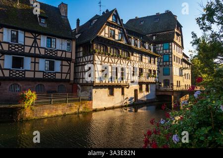 Traditionelle Fachwerkhäuser im Grachtenviertel La Petite France in Straßburg, Elsass, Frankreich. UNESCO-Weltkulturerbe Stockfoto