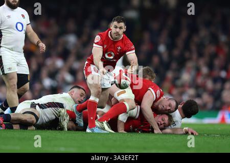 Cardiff, Großbritannien. März 2025. Tomos Williams aus Wales in Aktion. Guinness Six Nations Championship 2025 Match, Wales gegen England im Principality Stadium in Cardiff am Samstag, den 15. März 2025. bild von Andrew Orchard/Andrew Orchard Sportfotografie/Alamy Live News Credit: Andrew Orchard Sportfotografie/Alamy Live News Stockfoto