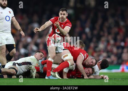 Cardiff, Großbritannien. März 2025. Tomos Williams aus Wales in Aktion. Guinness Six Nations Championship 2025 Match, Wales gegen England im Principality Stadium in Cardiff am Samstag, den 15. März 2025. bild von Andrew Orchard/Andrew Orchard Sportfotografie/Alamy Live News Credit: Andrew Orchard Sportfotografie/Alamy Live News Stockfoto
