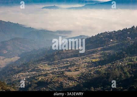 Terrassenfelder, die ein Bergtal hinunterragen und teilweise mit Nebel bedeckt sind, schaffen eine atemberaubende ländliche Landschaft. Stockfoto