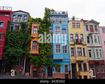 Lebendige mehrfarbige Stadthäuser mit einzigartigen architektonischen Merkmalen und üppig grünem Efeu, der an den Fassaden wächst Stockfoto