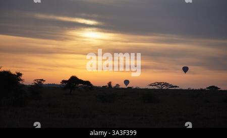 Ein ruhiger und schöner Sonnenaufgang über bunten Heißluftballons in der afrikanischen Savanna Serengeti Tansania Afrika Stockfoto