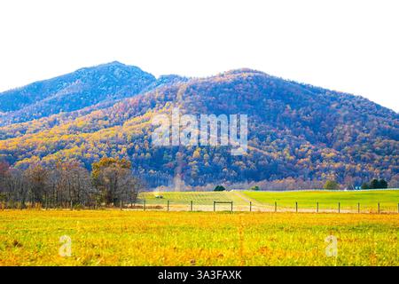 Wunderschöner sonniger Tag auf einem Appalachen-Berg, bedeckt von Wald mit Weide, kleiner Stadt und Traktor mit einem Bauern im Tal. Stockfoto