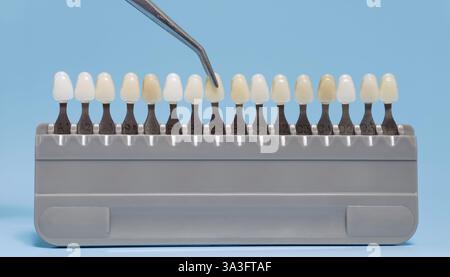 Nahaufnahme einer mit einer Pinzette gehaltenen Zahnfarbführung, die für die Farbabstimmung der Zähne in der kosmetischen und restaurativen Zahnheilkunde verwendet wird. Stockfoto