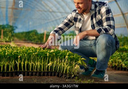 Sitzen und sich um Pflanzen kümmern. Der Mensch arbeitet im Gewächshaus. Stockfoto