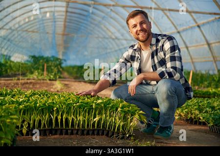 Sitzen und sich um Pflanzen kümmern. Der Mensch arbeitet im Gewächshaus. Stockfoto