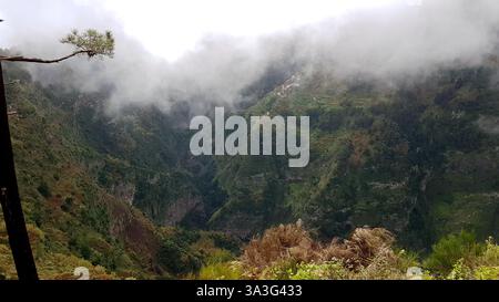 Die wilde Natur im Tal der Nonnen (Curral das Freiras) auf der portugiesischen Insel madeira Stockfoto