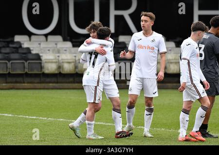 Landore, Swansea, Wales. 15. März 2025. Callum Jones aus Swansea City feiert das erste Tor seiner Mannschaft mit Teamkollege Harlan Perry während des U18-Spiels der Professional Development League zwischen Swansea City und Charlton Athletic am 15. März 2025 im JOMA High Performance Centre in Landore, Swansea, Wales. Quelle: Duncan Thomas/Majestic Media. Stockfoto