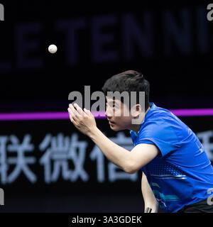 Chongqing, China. März 2025. Liang Jingkun spielt im Halbfinale der Männer zwischen Lin Shidong aus China und Liang Jingkun aus China beim WTT Champions Chongqing 2025 in Chongqing, Südwest-China, am 16. März 2025. Quelle: Tang Yi/Xinhua/Alamy Live News Stockfoto