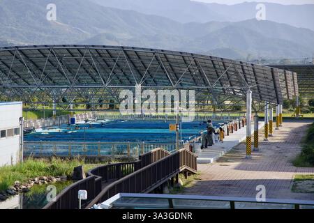 Gurye County, Südkorea - 3. Oktober 2021: Besucher erkunden das Seomjin River Fish Ecology Center, eine Bildungseinrichtung, die sich auf Süßwasserfische konzentriert Stockfoto