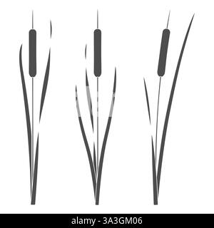 Satz von Schwarz-weiß-Illustrationen mit Raubkatzen, Schilf. Isolierte Vektorobjekte auf weißem Hintergrund. Stock Vektor