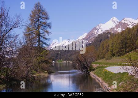Wunderschöner Blick auf den Silsersee (deutsch: Silsersee, romanisch: LEJ da Segl) im Oberengadintal, Graubünden, Schweiz. Stockfoto