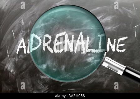 Adrenalin - Lernen, studieren und untersuchen Sie es. Adrenalin genauer betrachten. Eine Lupe, die das Wort "Adrenalin" auf einer Tafel vergrößert Stockfoto