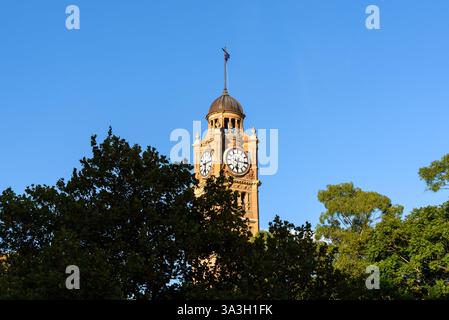 Der Uhrenturm der Sydney Central Station im Nachmittagslicht Stockfoto