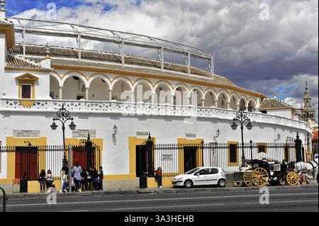 Seitenansicht der historischen Plaza de Toros in Sevilla mit Kutsche und Menschen, Sevilla, Andalusien, Spanien, Europa Stockfoto