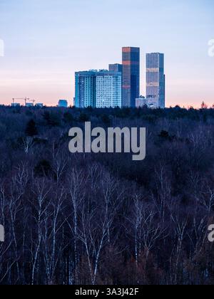 Wolkenkratzer über dem Stadtpark in der Morgendämmerung in Moskau Stockfoto