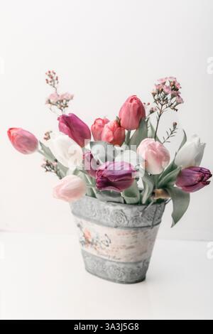 Tulpen im Vintage-Zink-Eimer isoliert auf weißem Hintergrund, weiche stumpfe Farben Stockfoto