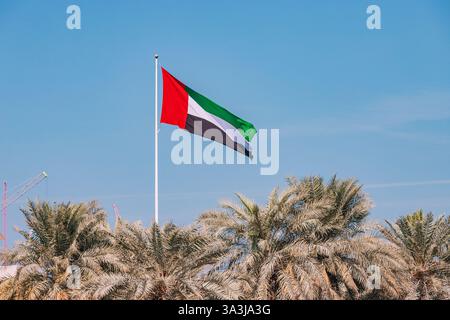 Die Flagge der VAE winkt an einem sonnigen Tag im Wind mit Palmen und blauem Himmel im Hintergrund Stockfoto