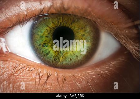 Makrofotografie mit detaillierter Blende im Nahaufnahme-Studio für natürliche Farben Stockfoto