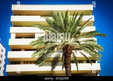 Stadtbild von Miami, Florida mit Palmen und Gebäuden an einem sonnigen Tag am 4. März 2023 Stockfoto