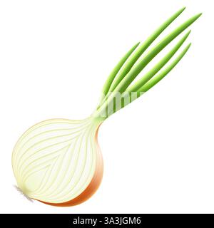 Eine halbe frische Zwiebel. Die Hälfte der Reifen gelben Zwiebel mit grüner Feder isoliert auf weißem Hintergrund. Gesunde Ernährung. Natürliches Gemüse. Realistischer 3D-Vektor Stock Vektor