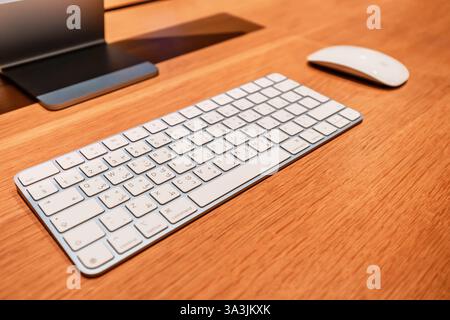 17. Januar 2025, Abu Dhabi, Vereinigte Arabische Emirate: Drahtlose Apple Magic Tastatur und Maus auf einem hölzernen Schreibtisch platziert, um einen minimalen und produktiven Arbeitsplatz zu schaffen Stockfoto