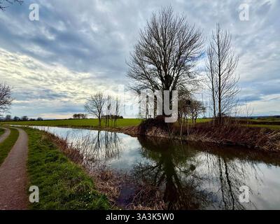 Bäume bei Dämmerung und ein dramatischer Himmel - der Taunton and Bridgewater Canal, Somerset Stockfoto
