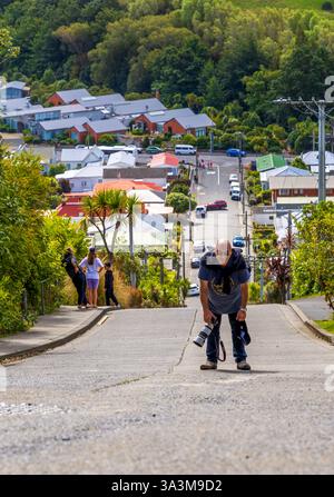 Baldwin Street in Dunedin als steilste Straße der Welt, Neuseeland Stockfoto