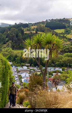 Baldwin Street in Dunedin als steilste Straße der Welt, Neuseeland Stockfoto