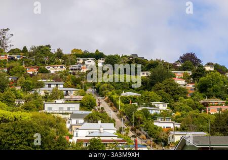 Baldwin Street in Dunedin als steilste Straße der Welt, Neuseeland Stockfoto