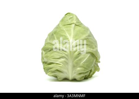 Isolierter, frischer Spitzkohl mit strukturierten grünen Blättern, erfasst auf einem sauberen weißen Hintergrund, perfekt für kulinarische Inhalte. Stockfoto